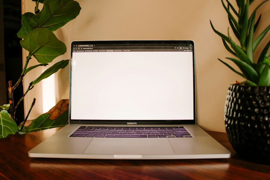 Warm editorial workspace with books, vase, and plants on a sunlit desk